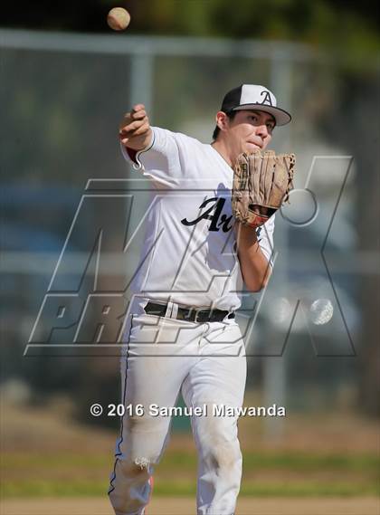 Thumbnail 2 in Poly @ Arleta photogallery.