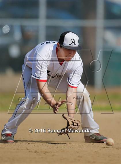 Thumbnail 3 in Poly @ Arleta photogallery.