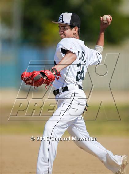 Thumbnail 1 in Poly @ Arleta photogallery.