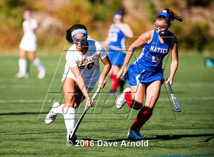Thumbnail 2 in Natick @ Needham photogallery.