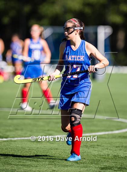 Thumbnail 1 in Natick @ Needham photogallery.