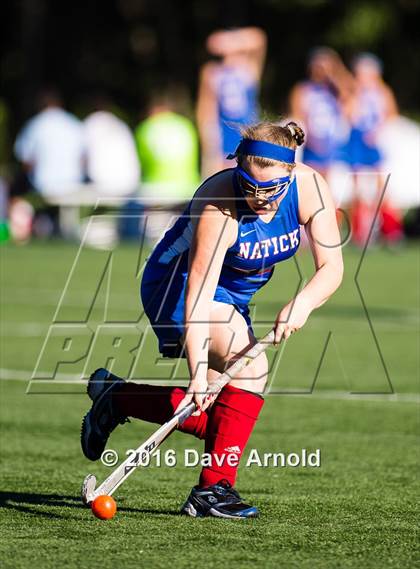 Thumbnail 3 in Natick @ Needham photogallery.