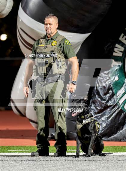 Thumbnail 1 in Placer @ Twelve Bridges photogallery.