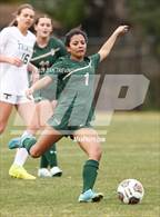 Photo from the gallery "Trinity Episcopal @ Catholic"