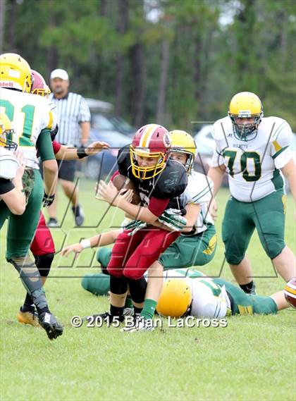 Thumbnail 2 in Yulee @ West Nassau photogallery.