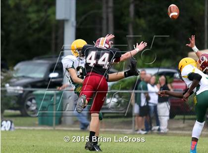 Thumbnail 3 in Yulee @ West Nassau photogallery.