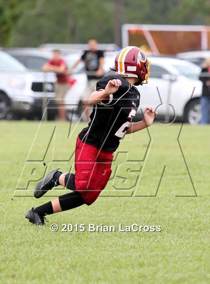 Thumbnail 1 in Yulee @ West Nassau photogallery.