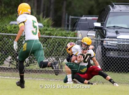 Thumbnail 2 in Yulee @ West Nassau photogallery.
