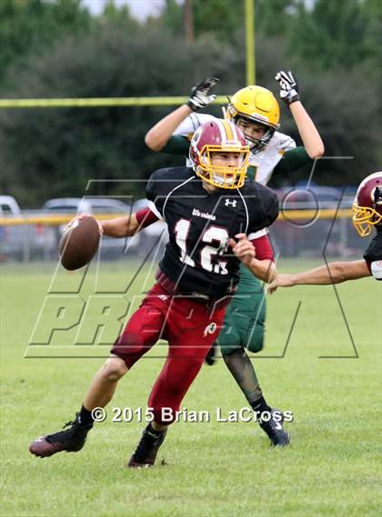 Thumbnail 1 in Yulee @ West Nassau photogallery.