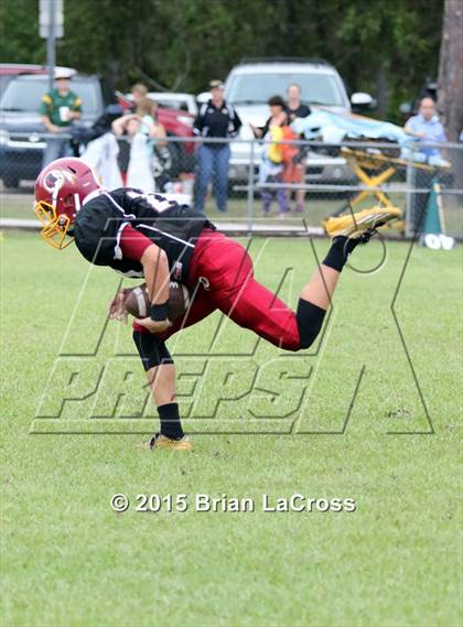 Thumbnail 2 in Yulee @ West Nassau photogallery.