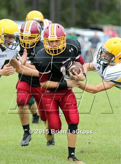 Thumbnail 3 in Yulee @ West Nassau photogallery.