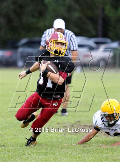 Thumbnail 3 in Yulee @ West Nassau photogallery.