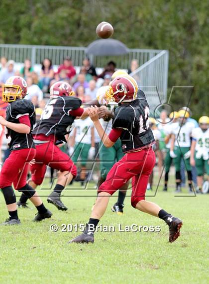Thumbnail 2 in Yulee @ West Nassau photogallery.
