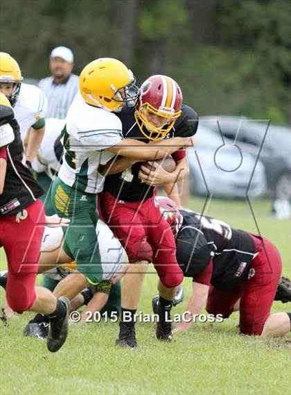 Thumbnail 2 in Yulee @ West Nassau photogallery.