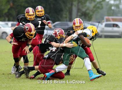 Thumbnail 1 in Yulee @ West Nassau photogallery.