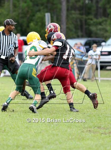 Thumbnail 1 in Yulee @ West Nassau photogallery.