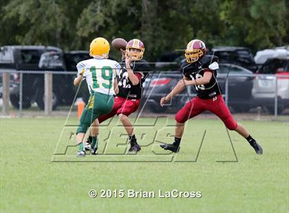 Thumbnail 2 in Yulee @ West Nassau photogallery.