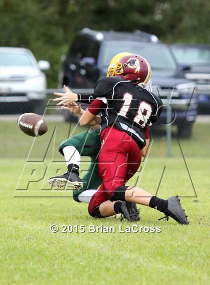 Thumbnail 1 in Yulee @ West Nassau photogallery.