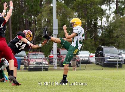 Thumbnail 3 in Yulee @ West Nassau photogallery.