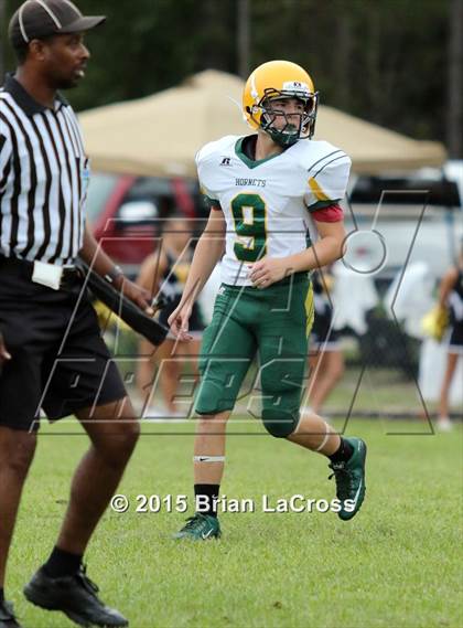 Thumbnail 2 in Yulee @ West Nassau photogallery.