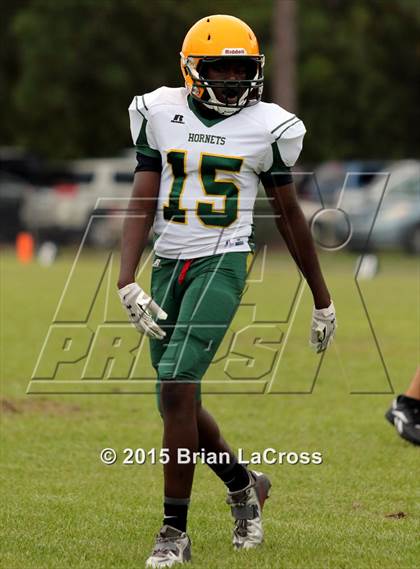 Thumbnail 2 in Yulee @ West Nassau photogallery.