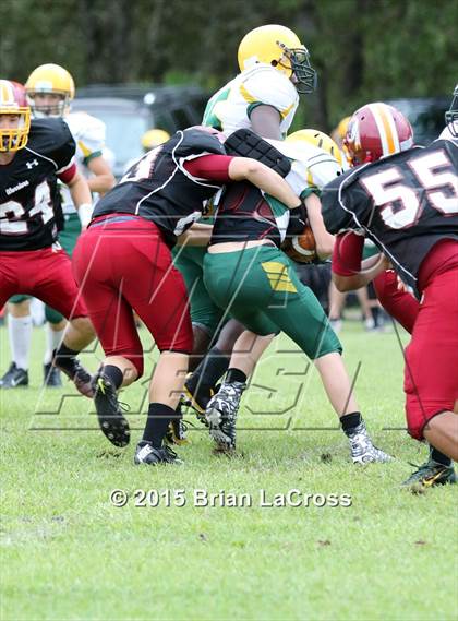 Thumbnail 2 in Yulee @ West Nassau photogallery.