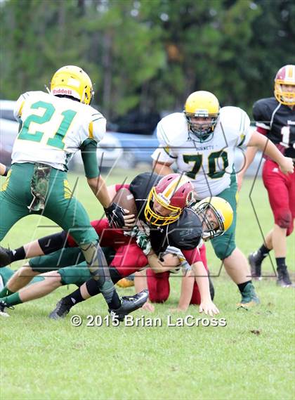 Thumbnail 3 in Yulee @ West Nassau photogallery.