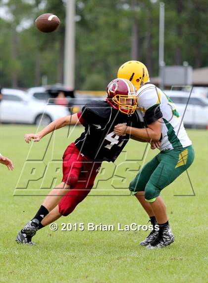Thumbnail 2 in Yulee @ West Nassau photogallery.