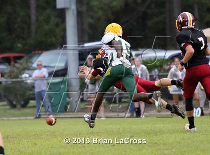 Thumbnail 3 in Yulee @ West Nassau photogallery.
