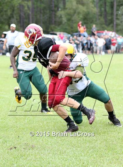 Thumbnail 3 in Yulee @ West Nassau photogallery.