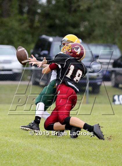 Thumbnail 3 in Yulee @ West Nassau photogallery.
