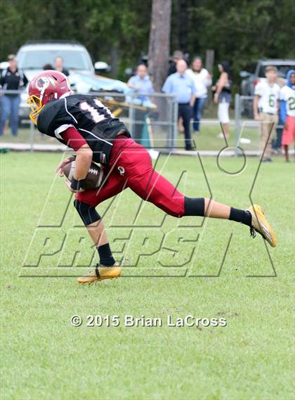Thumbnail 1 in Yulee @ West Nassau photogallery.