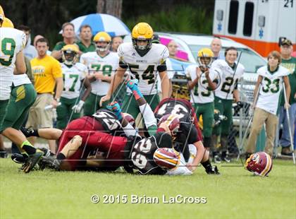 Thumbnail 3 in Yulee @ West Nassau photogallery.