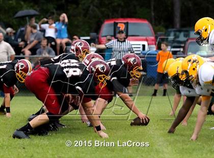 Thumbnail 3 in Yulee @ West Nassau photogallery.
