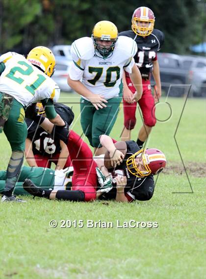Thumbnail 2 in Yulee @ West Nassau photogallery.