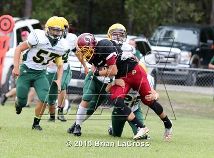 Thumbnail 2 in Yulee @ West Nassau photogallery.