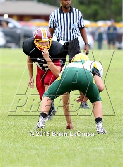Thumbnail 1 in Yulee @ West Nassau photogallery.