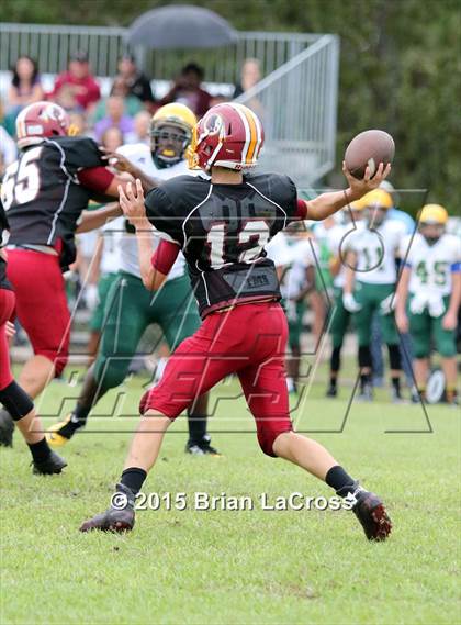 Thumbnail 1 in Yulee @ West Nassau photogallery.