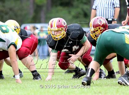 Thumbnail 3 in Yulee @ West Nassau photogallery.