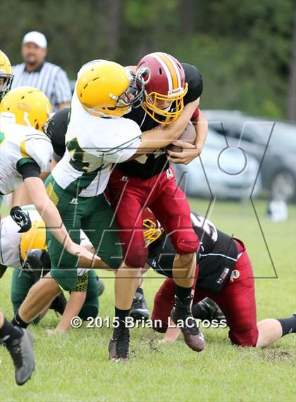 Thumbnail 3 in Yulee @ West Nassau photogallery.