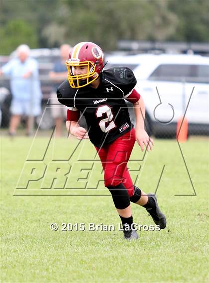 Thumbnail 3 in Yulee @ West Nassau photogallery.