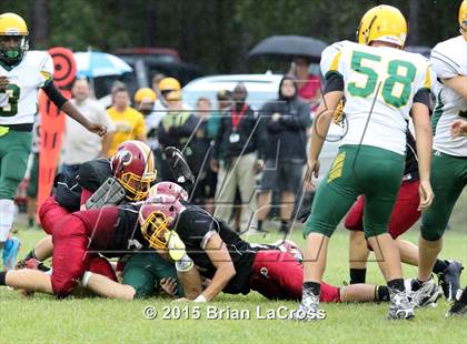 Thumbnail 2 in Yulee @ West Nassau photogallery.