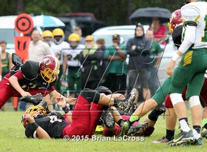 Thumbnail 3 in Yulee @ West Nassau photogallery.