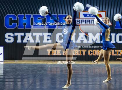 Thumbnail 1 in Cactus Shadow (AIA Division II Final) photogallery.