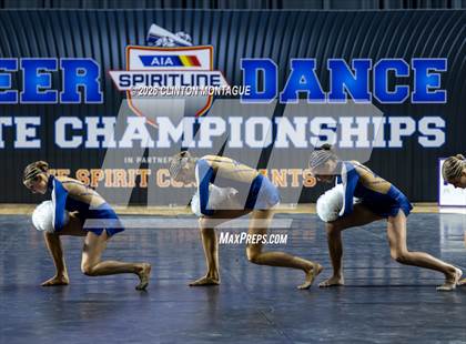 Thumbnail 3 in Cactus Shadow (AIA Division II Final) photogallery.