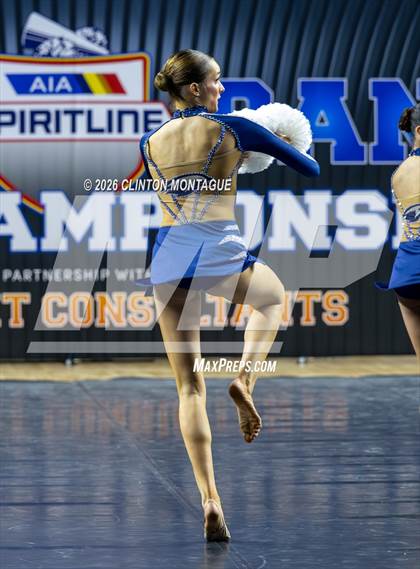 Thumbnail 3 in Cactus Shadow (AIA Division II Final) photogallery.