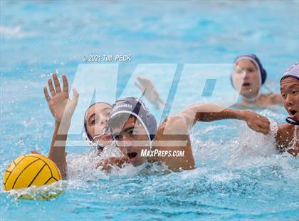 Thumbnail 3 in Tesoro @ Cypress photogallery.