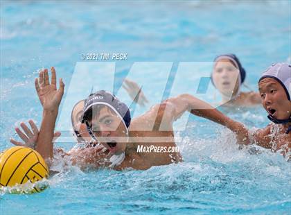 Thumbnail 2 in Tesoro @ Cypress photogallery.