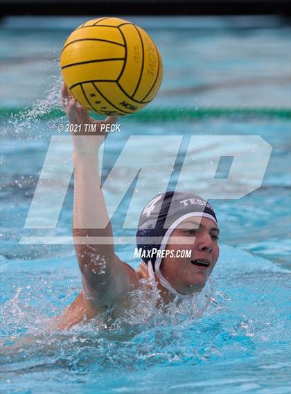 Thumbnail 3 in Tesoro @ Cypress photogallery.