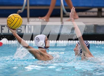 Thumbnail 1 in Tesoro @ Cypress photogallery.